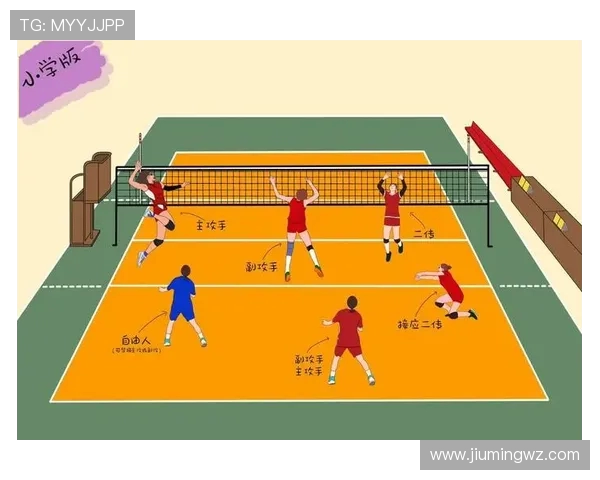 武汉排球队的战术控制与球队发展现状深度分析